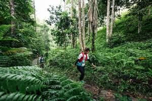 BIB: 
                            <button type="button" onclick="openModal(26408450)" class="btn btn-primary btn-sm float-right btn-popup" data-toggle="modal" data-target=".modal-high-quality">
                        <i class="fas fa-shopping-cart"></i> Add to Cart
                    </button>
                                            <button type="button" onclick="isThisMe(26408450, true)" class="btn btn-success btn-sm float-right btn-popup btn-isme hidden" data-toggle="tooltip" data-placement="bottom" title="นี่คือรูปของคุณใช่ไหม คลิกที่นี่เพื่อเอาเข้าอัลบั้ม">
                        <i class="fas fa-plus"></i> Add to album
                    </button>
                    <button type="button" onclick="isThisMe(26408450, false)" class="btn btn-warning btn-sm float-right btn-popup btn-isnotme hidden">
                        <i class="fas fa-ban"></i> Remove from album
                    </button>